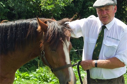 horse ambulance, fallen stock, horse ambulance devon, horse ambulance cornwall, horse ambulance somerset, horse ambulance south